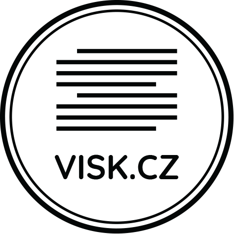 VISK Logo